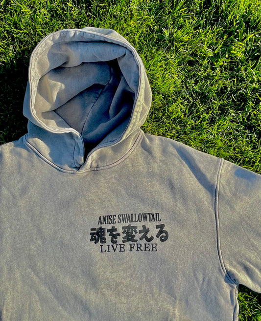 LIVE FREE Hoodie